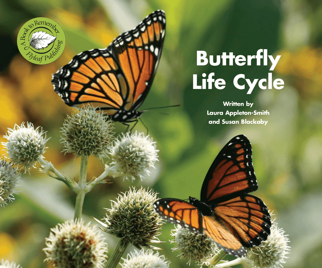 Butterfly Life Cycle book