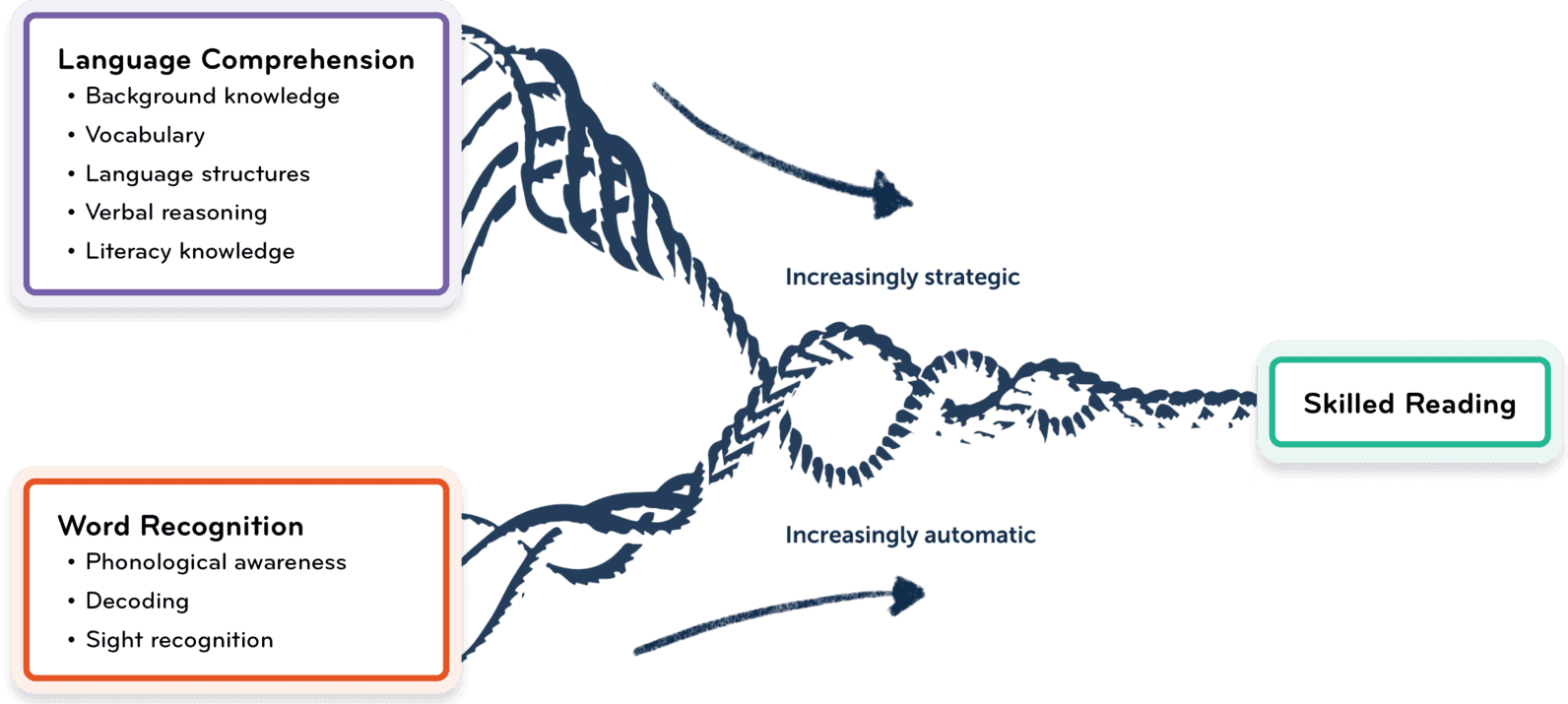 Scarborought's Reading Rope Infographic