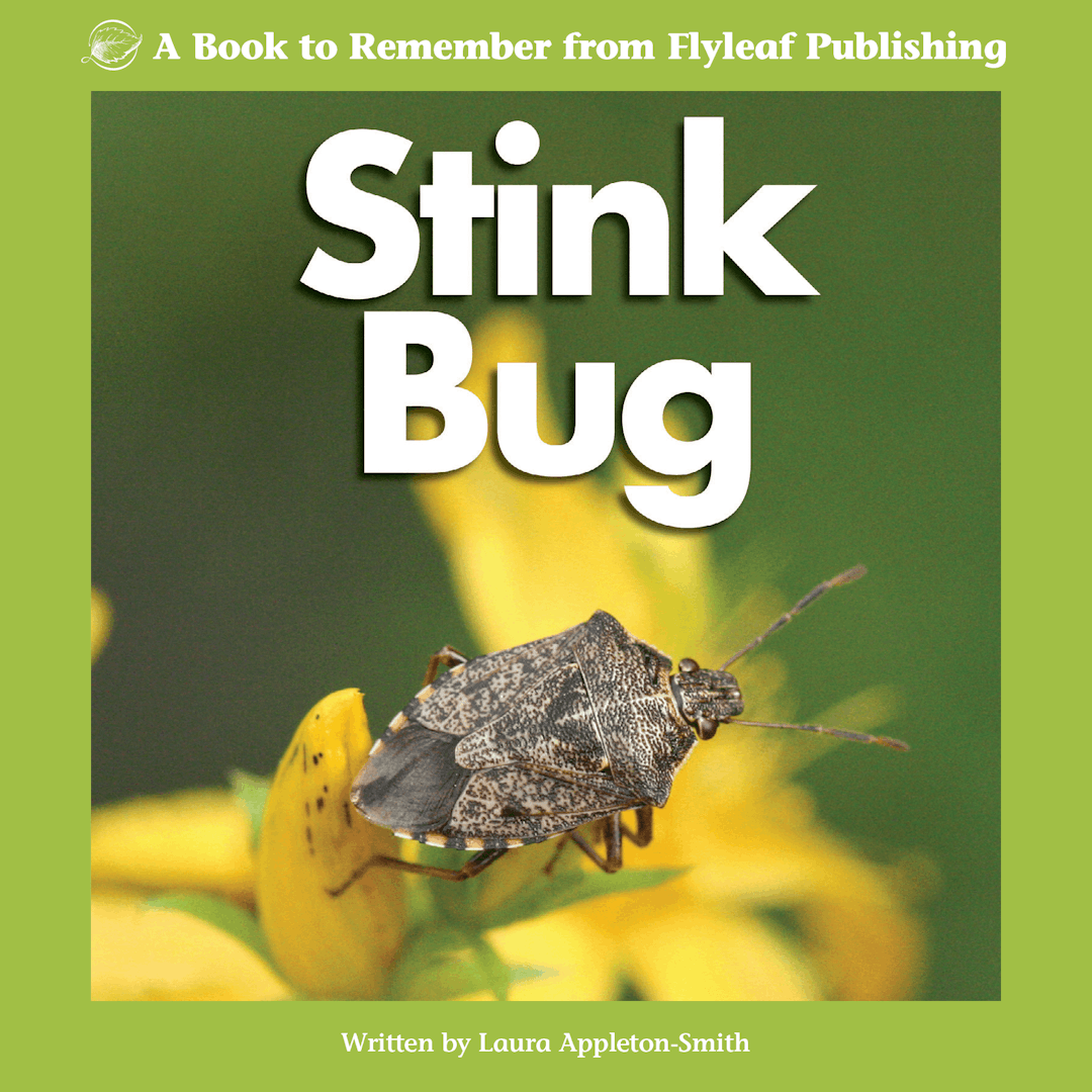 Stink Bug book