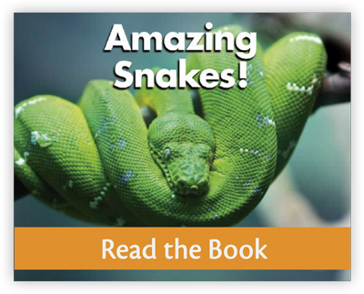 amazing-snakes-coverpreview1.png