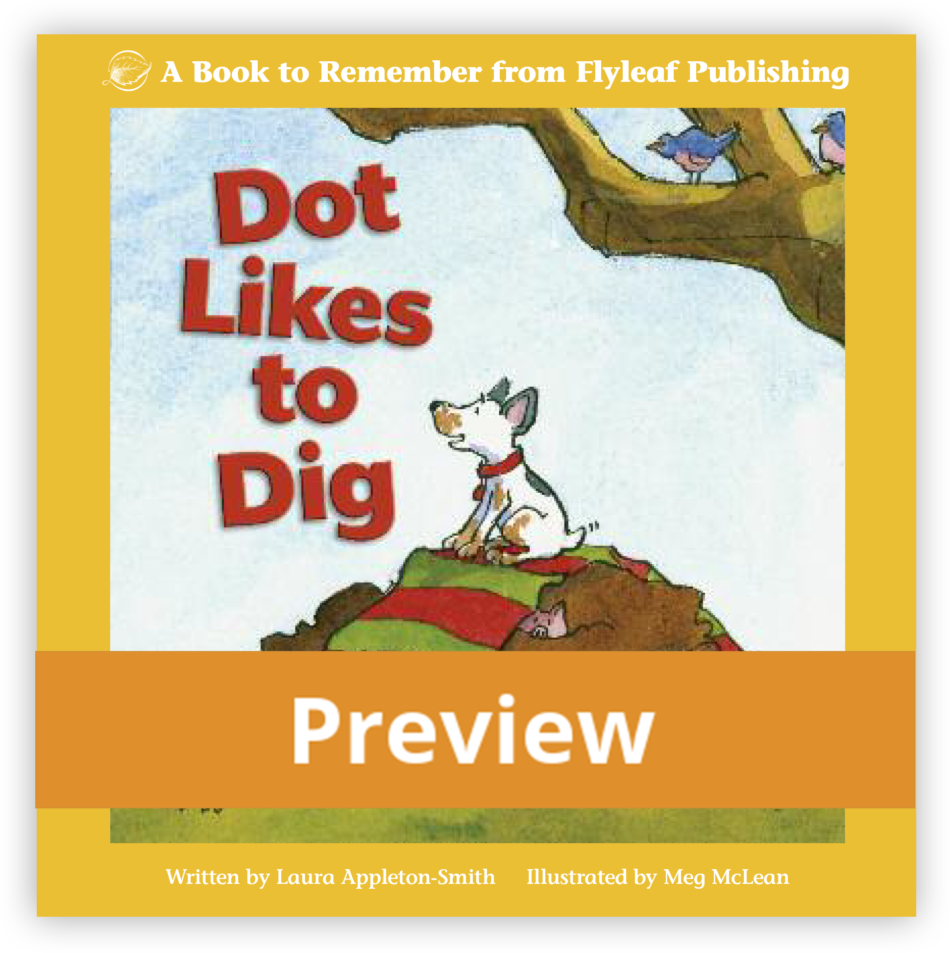 dot-preview-cover.png