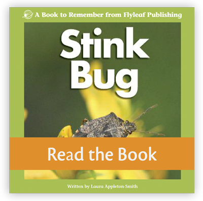 stink-bug-coverpreview1.png