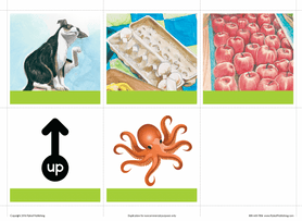 Reading Series One Foundational Skills Instructional Cards (additional)