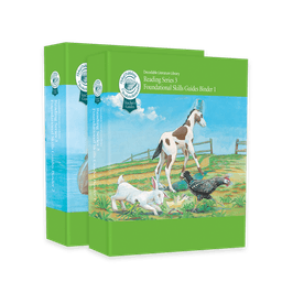 Reading Series Three | Foundational Skills Teacher's Guide